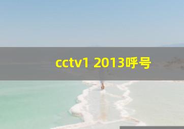 cctv1 2013呼号